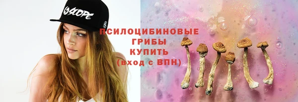 2c-b Алзамай