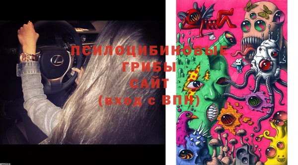 ПСИЛОЦИБИНОВЫЕ ГРИБЫ Алексин