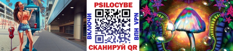 kraken сайт  Ржев  Псилоцибиновые грибы Psilocybe 